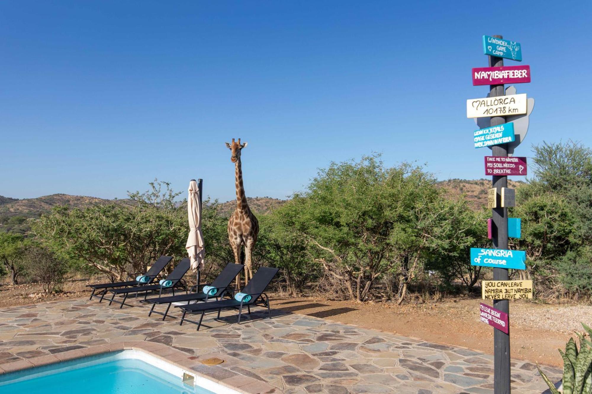 Windhoek Game Camp Lafrenz Township Ngoại thất bức ảnh