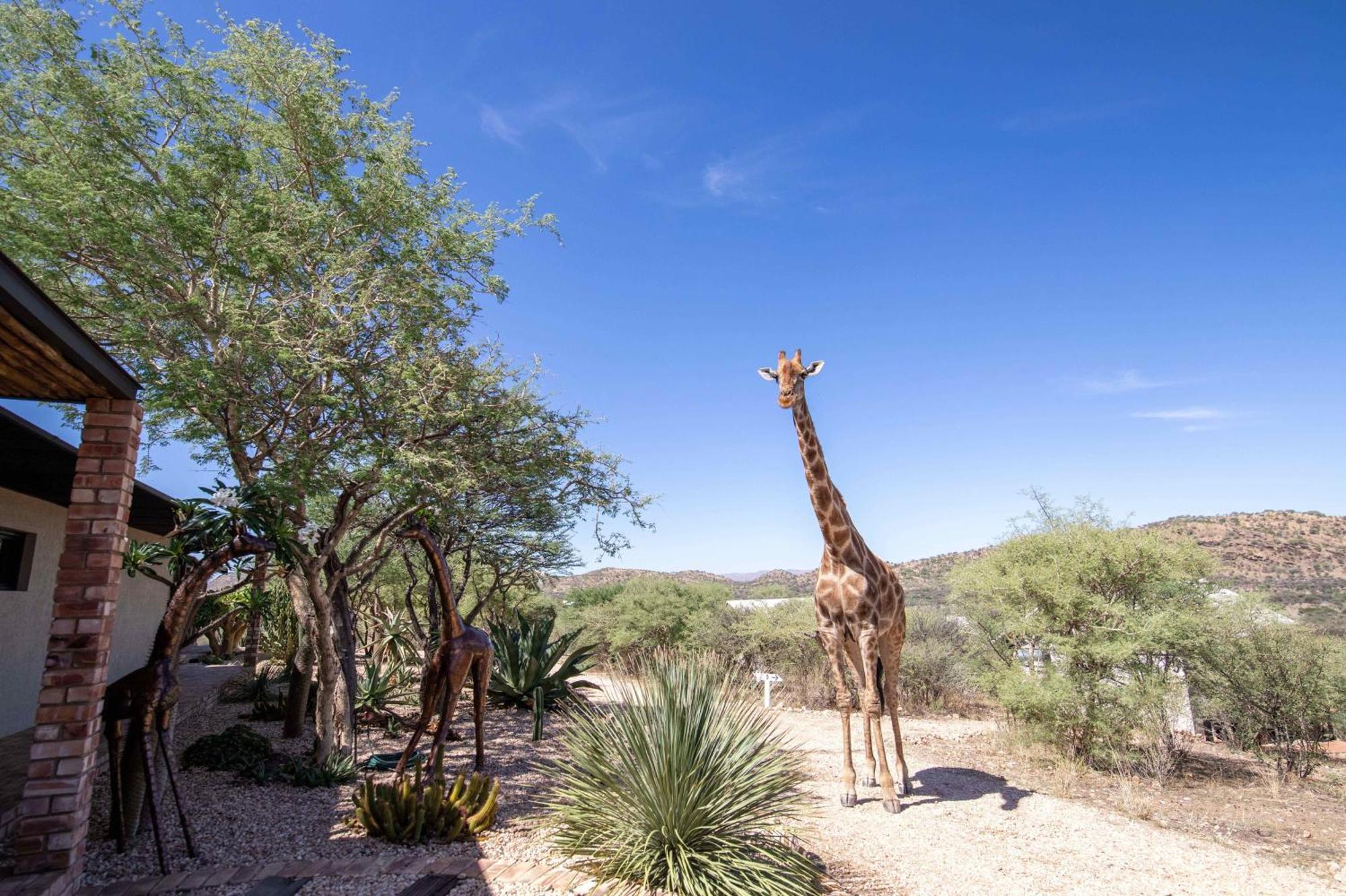 Windhoek Game Camp Lafrenz Township Ngoại thất bức ảnh