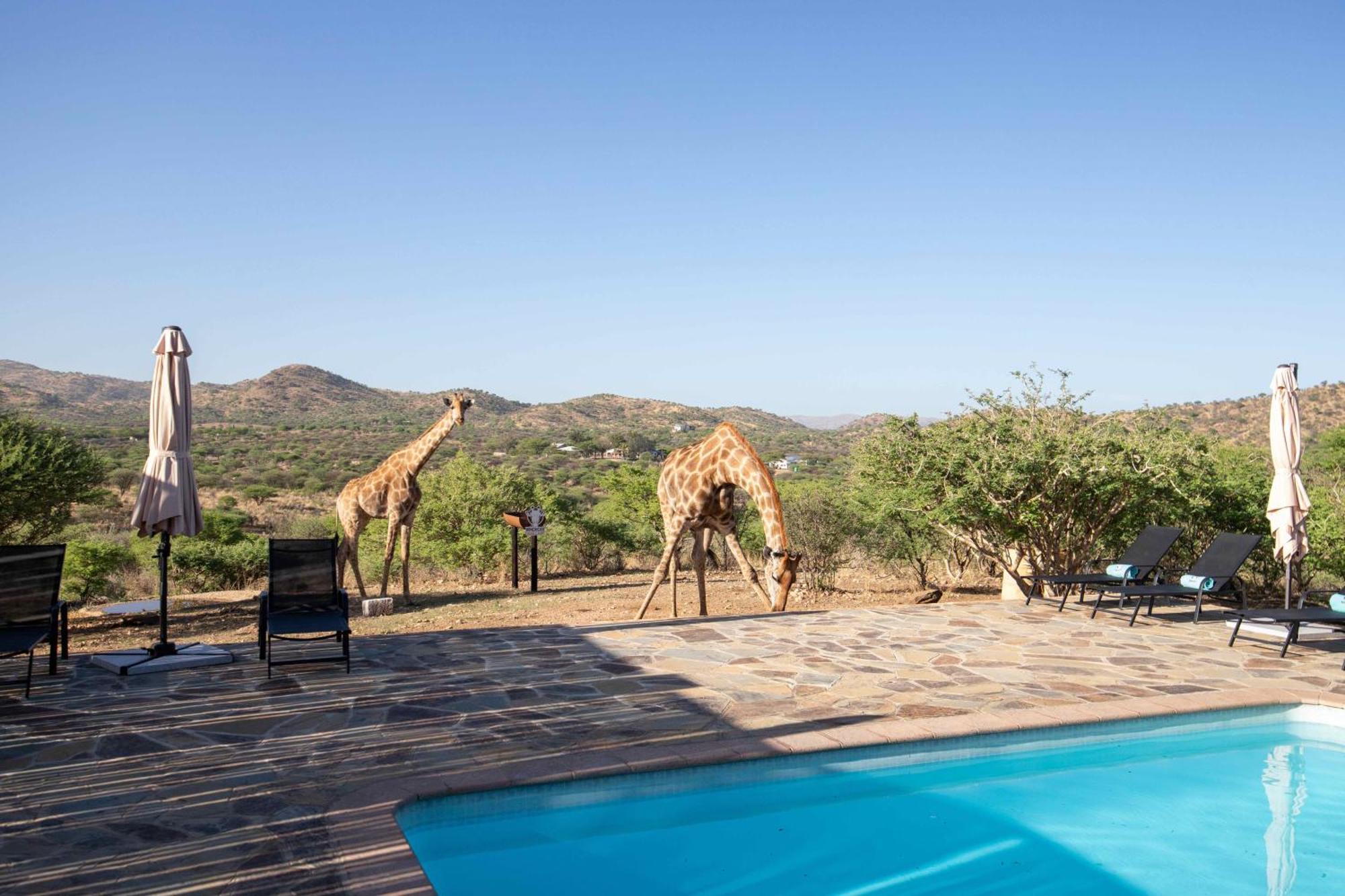 Windhoek Game Camp Lafrenz Township Ngoại thất bức ảnh