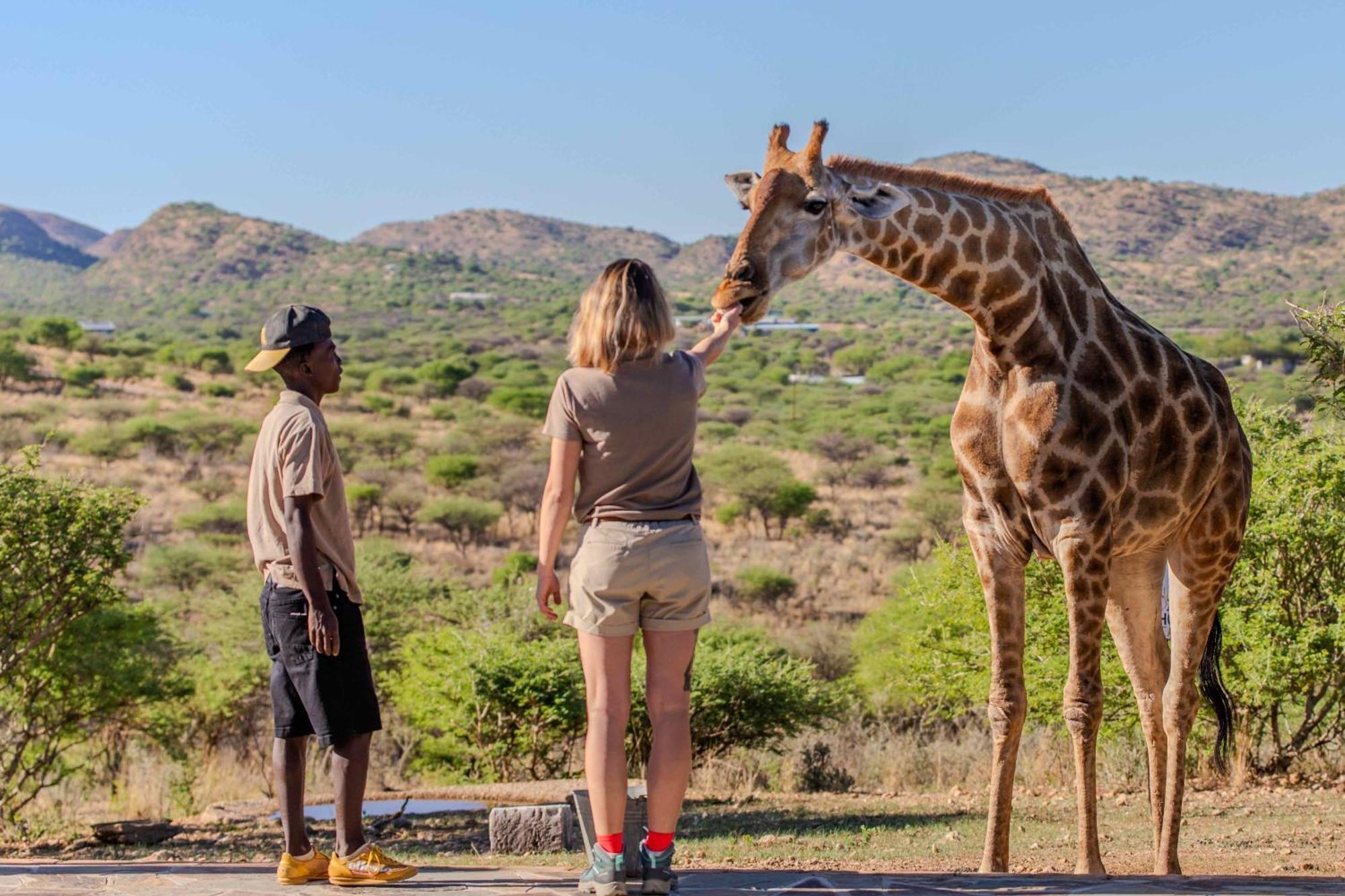 Windhoek Game Camp Lafrenz Township Ngoại thất bức ảnh