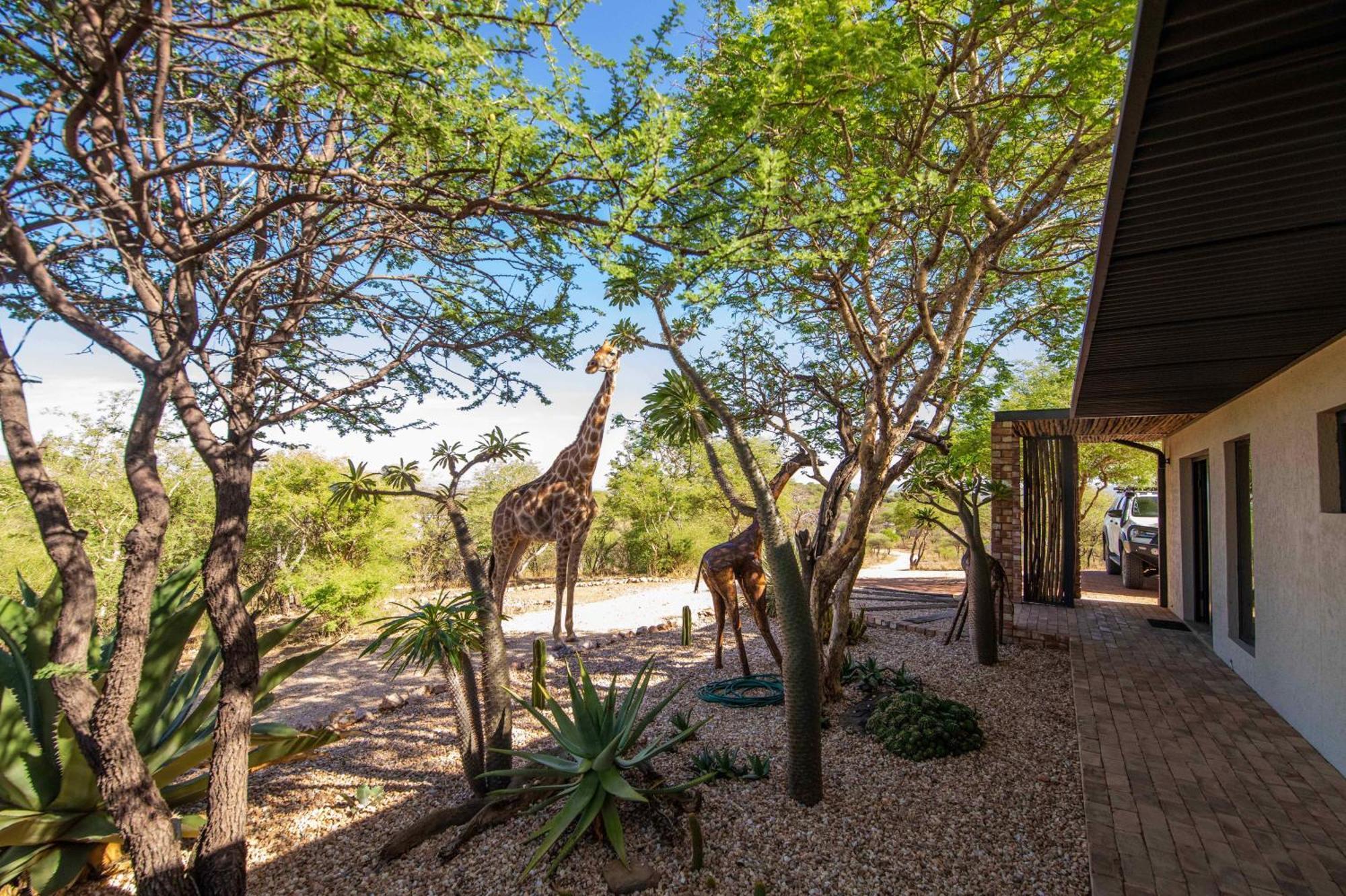 Windhoek Game Camp Lafrenz Township Ngoại thất bức ảnh
