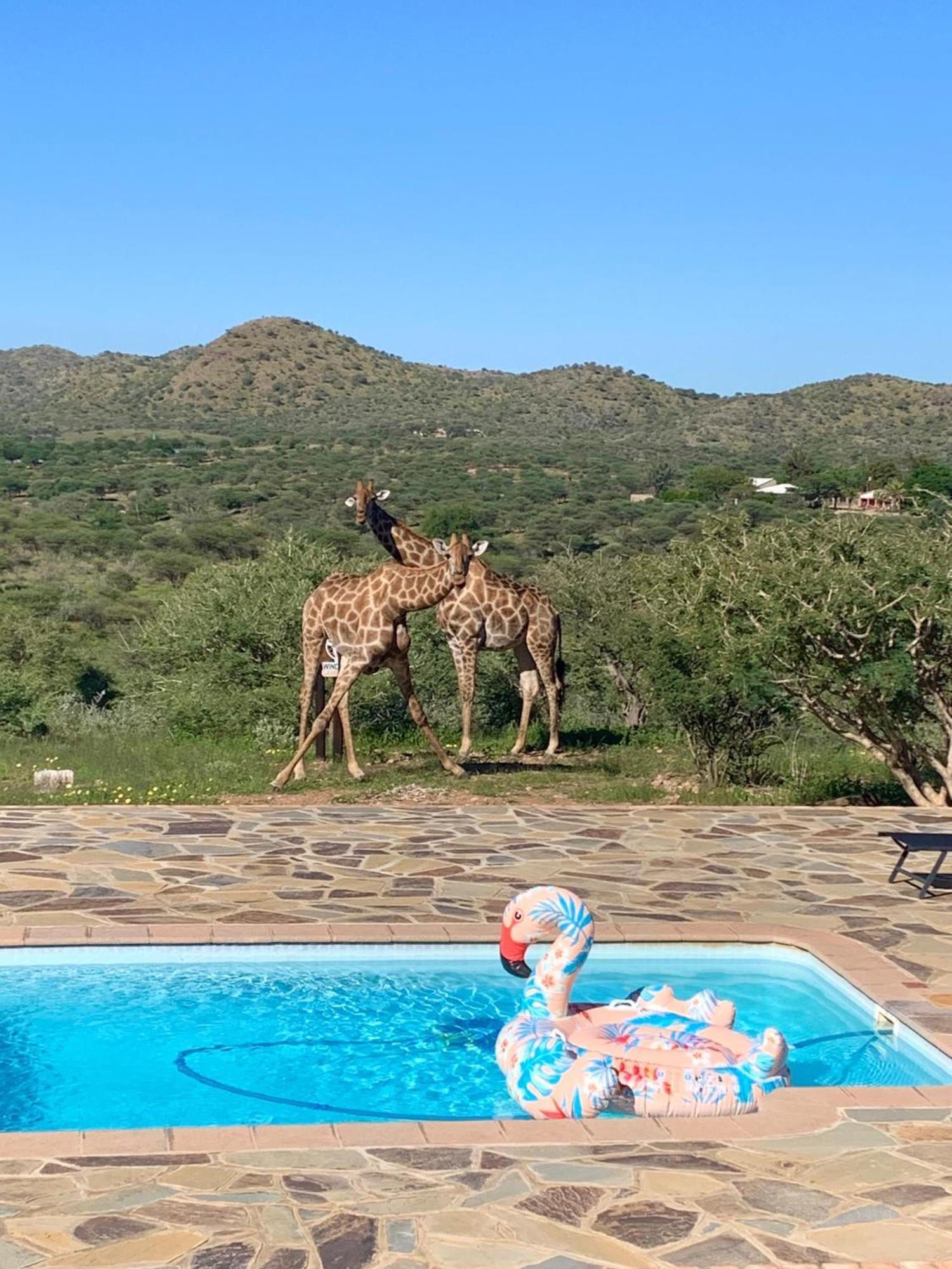 Windhoek Game Camp Lafrenz Township Ngoại thất bức ảnh