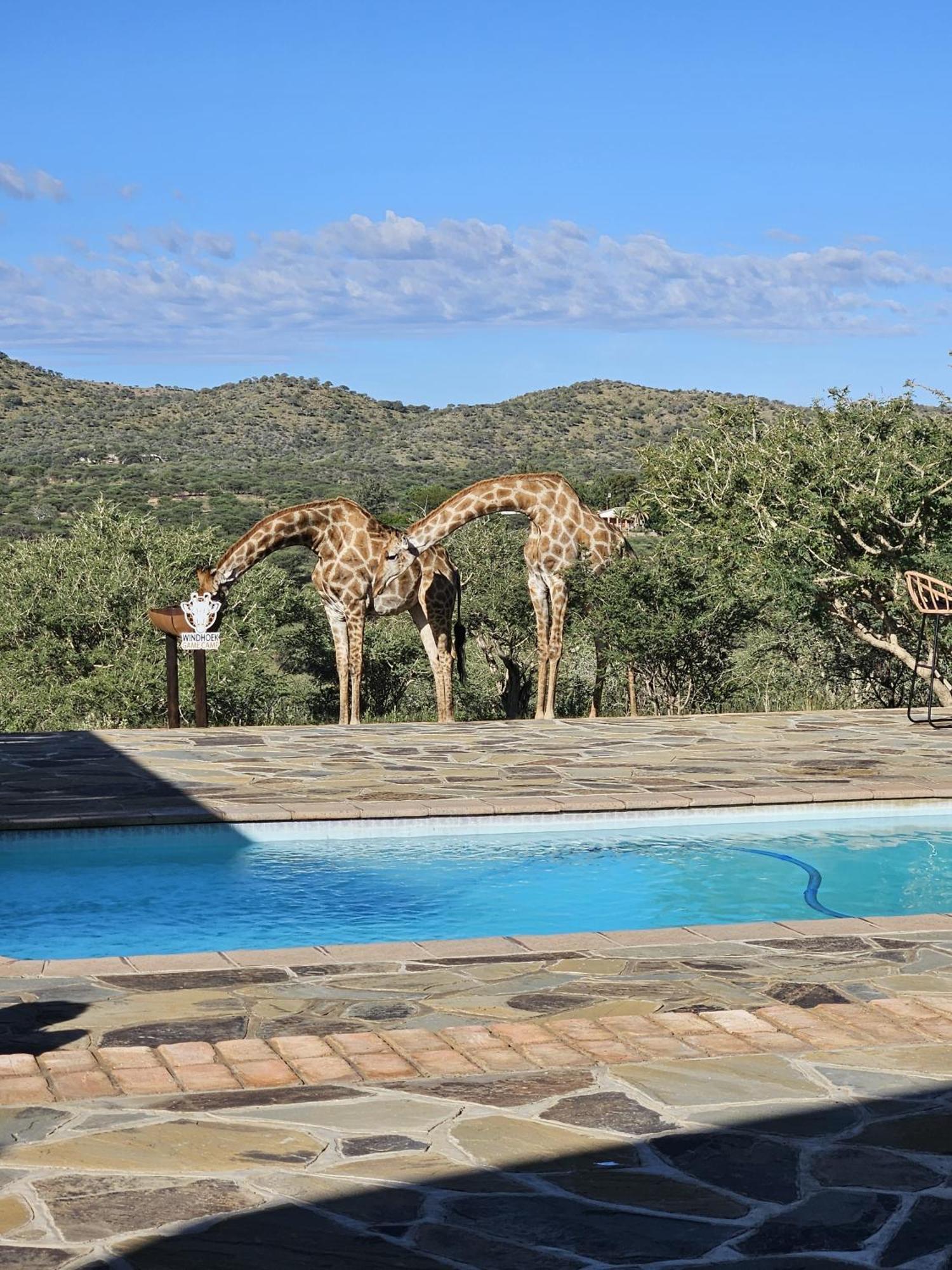Windhoek Game Camp Lafrenz Township Ngoại thất bức ảnh