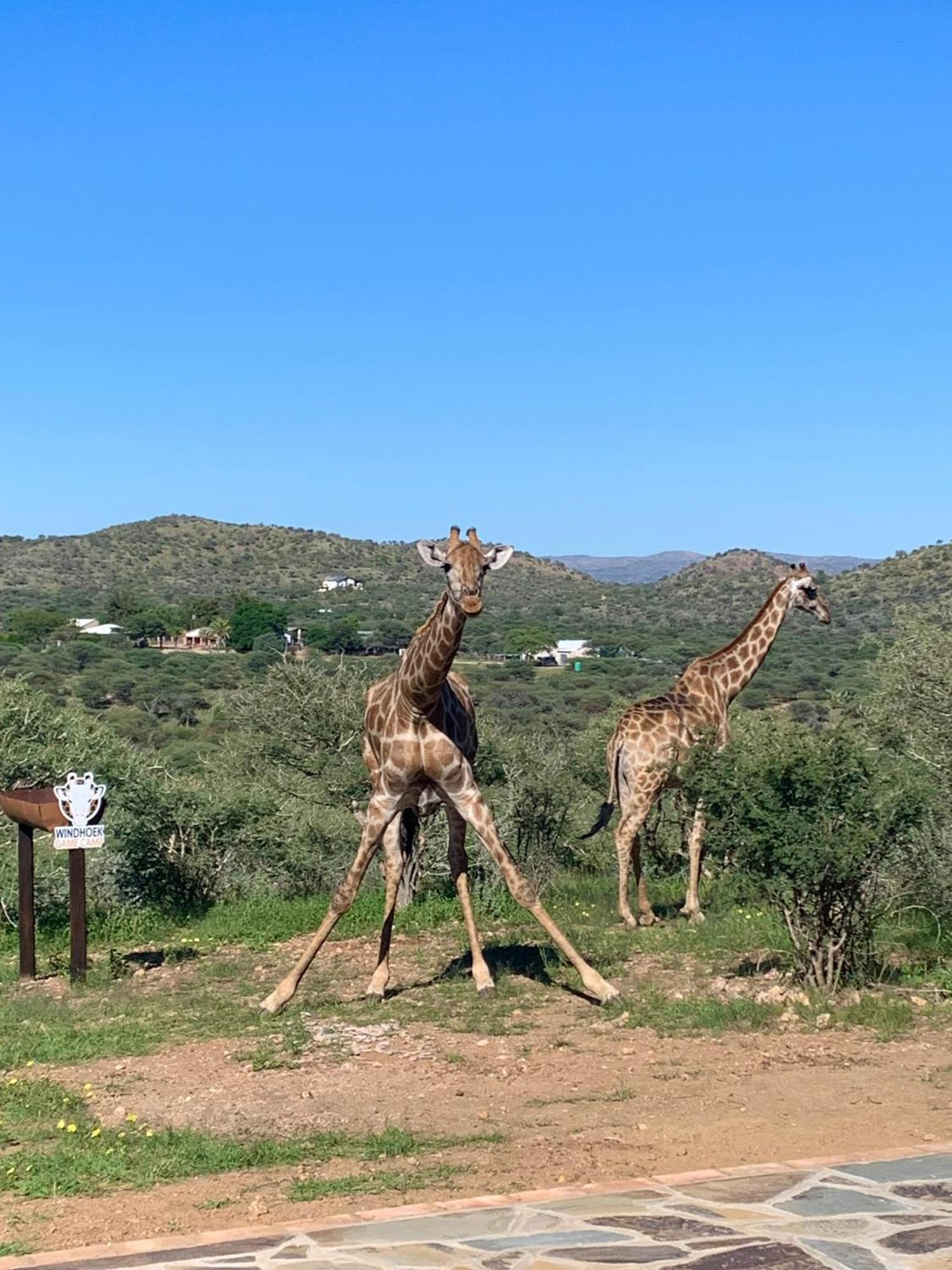 Windhoek Game Camp Lafrenz Township Ngoại thất bức ảnh