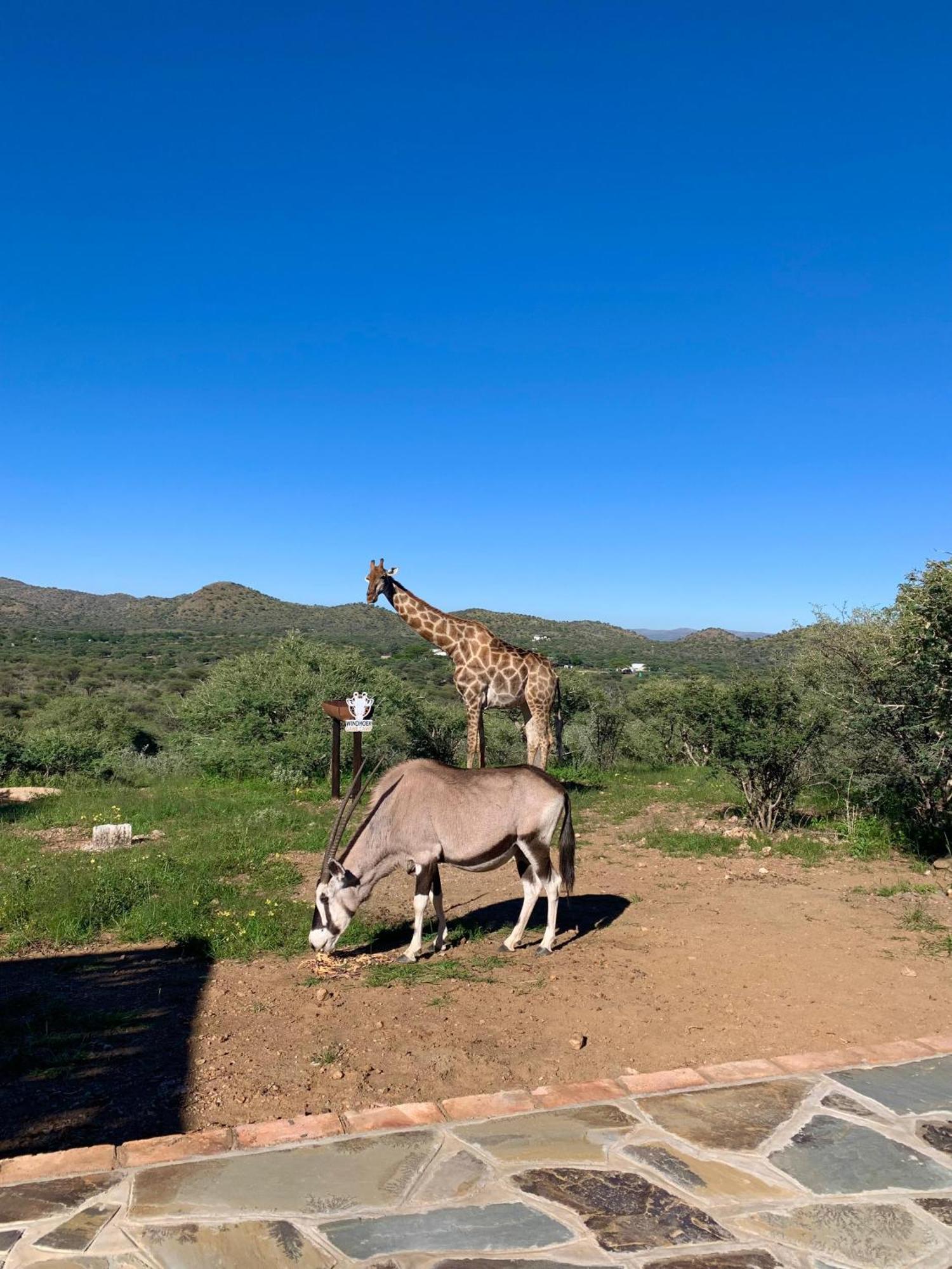 Windhoek Game Camp Lafrenz Township Ngoại thất bức ảnh