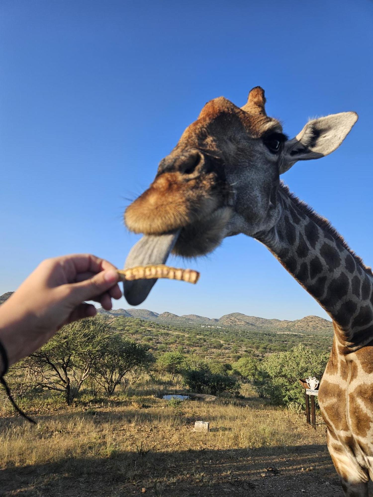 Windhoek Game Camp Lafrenz Township Ngoại thất bức ảnh